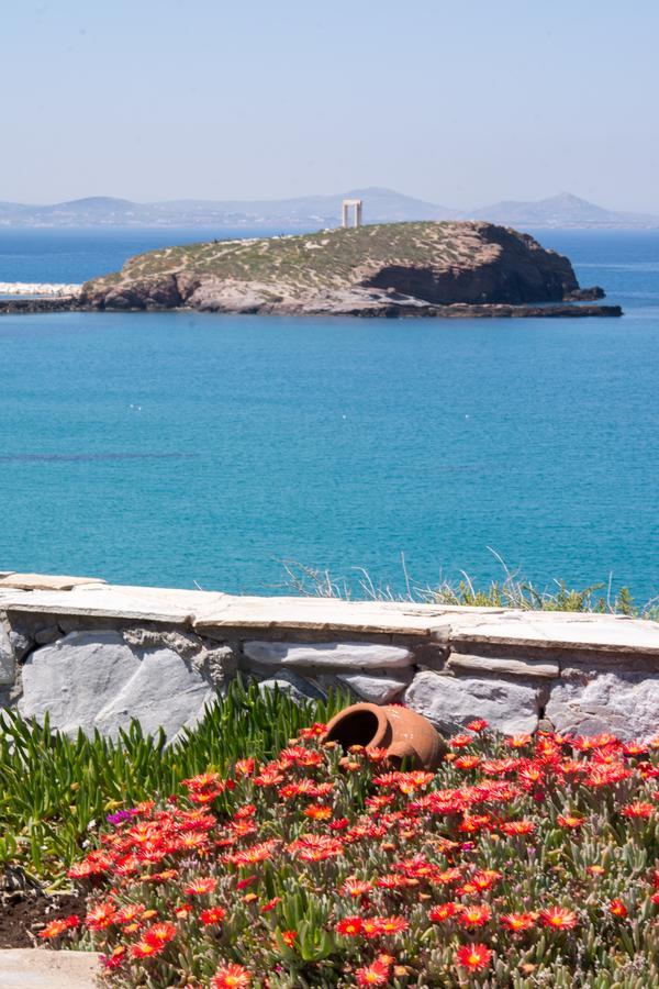 Iliada Suites Naxos City Værelse billede